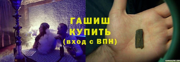 прущие грибы Снежногорск