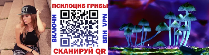 Псилоцибиновые грибы мицелий  Вяземский 